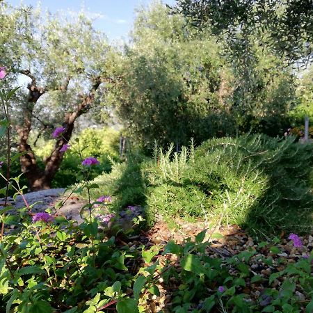 Sugli Allori Diano Marina Luaran gambar